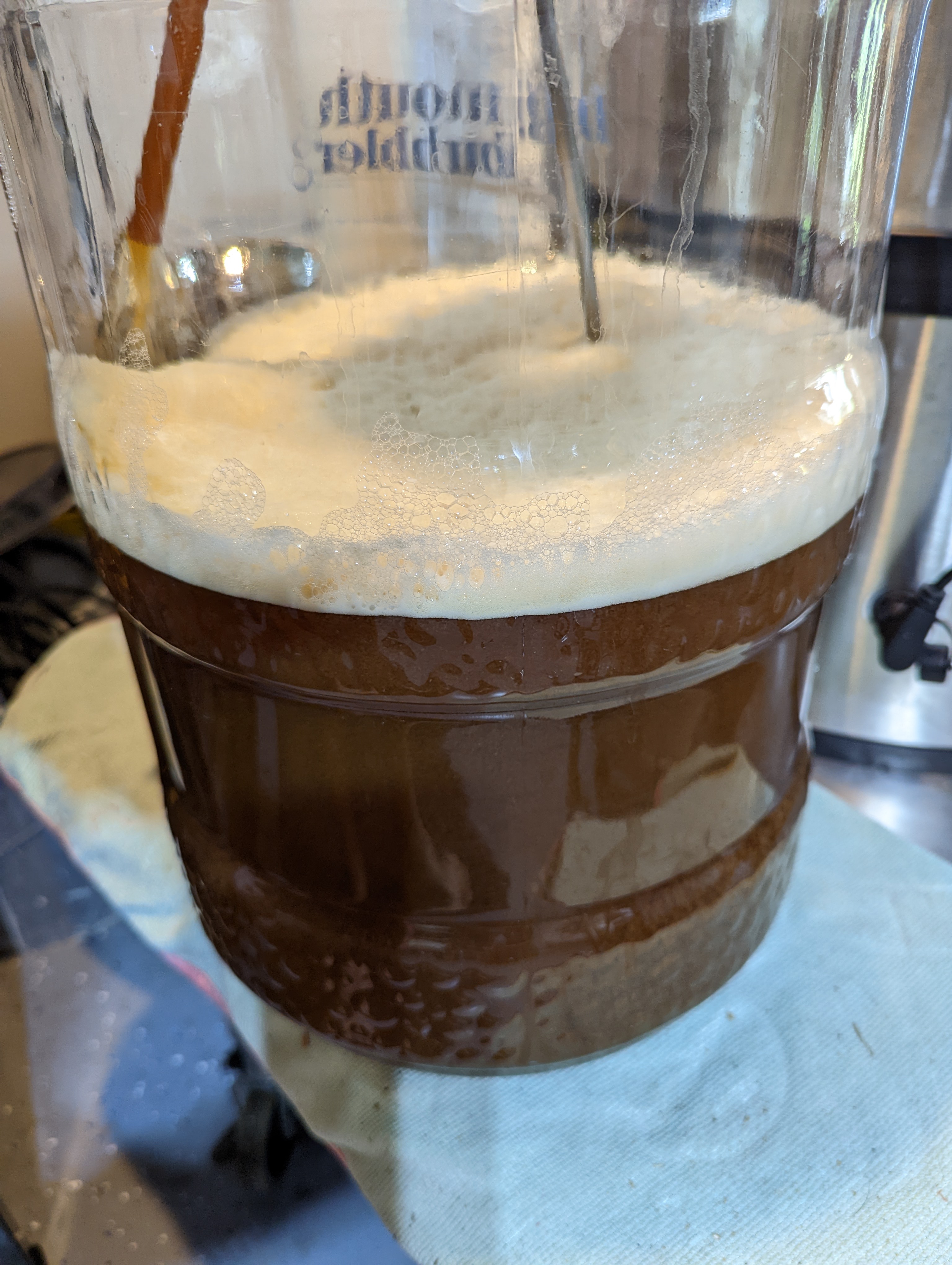 Fermentation in progress